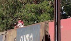 Piratas dos trilhos: vídeo mostra bandidos furtando soja de trem da Rumo em movimento