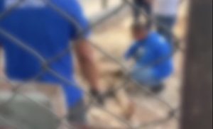 Colega mata venezuelano com facadas e golpes de enxada e enterra corpo em cova rasa em MT; vídeo
