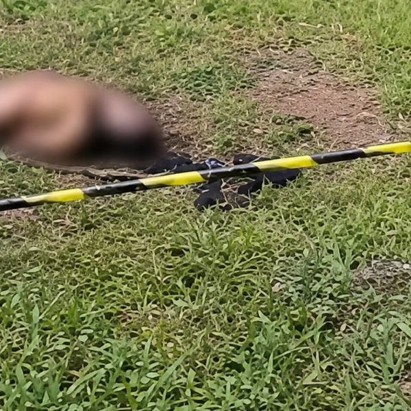 Jovem é sequestrada e assassinada pelo CV; vídeo mostra corpo encontrado às margens da BR-364