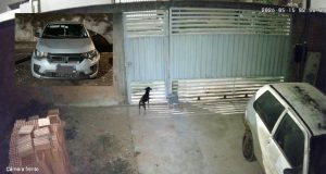 Vídeo mostra motorista gritando durante roubo em que acabou enforcada com cinto em Rondonópolis