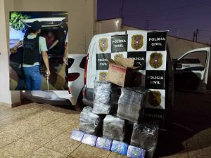 Casa cai para o CV em Rondonópolis e PC desmonta “central da maconha” com prejuízo milionário ao crime; vídeo