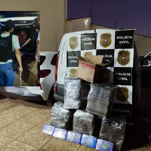 Casa cai para o CV em Rondonópolis e PC desmonta “central da maconha” com prejuízo milionário ao crime; vídeo