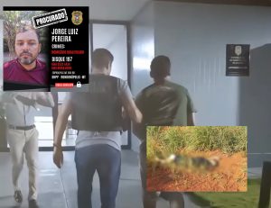 PC caça envolvido em execução brutal na Galileia e prende comparsa de facção em Rondonópolis; assista a prisão