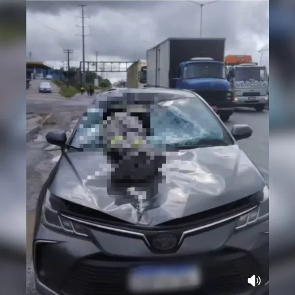 Homem se joga de passarela e morre “cravado” em carro na BR-324; vídeo forte