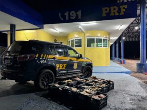 ‘Mula’ do tráfico é presa com mais de  274 quilos de drogas na BR-364, na região de Rondonópolis