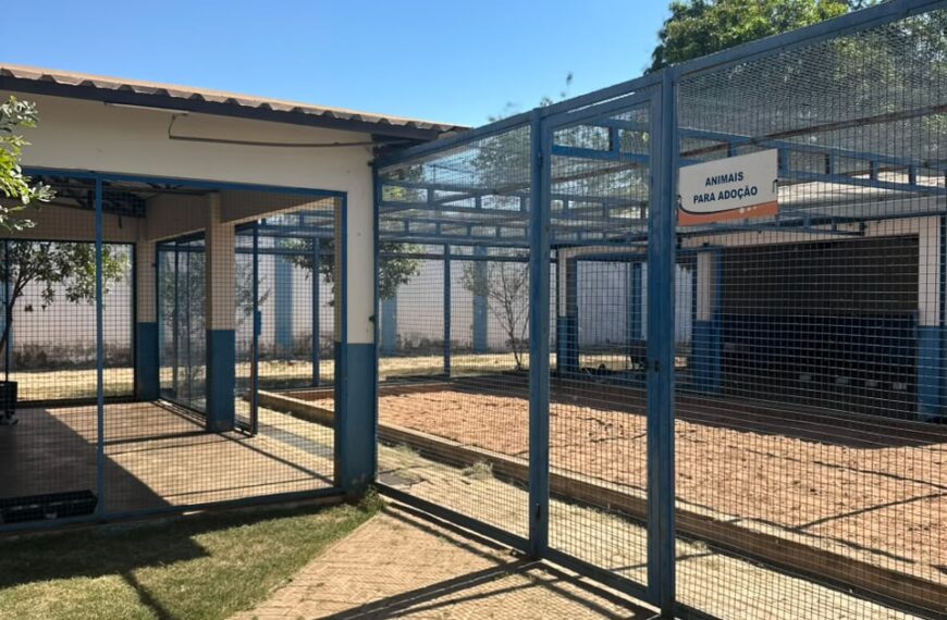 CIBEAR intensifica ações de bem-estar animal e realiza 3.455 castrações no primeiro semestre de 2026
