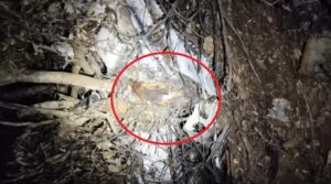 Vídeo mostra homem carbonizado após avião com carga de cocaína cair em MT; dois morreram