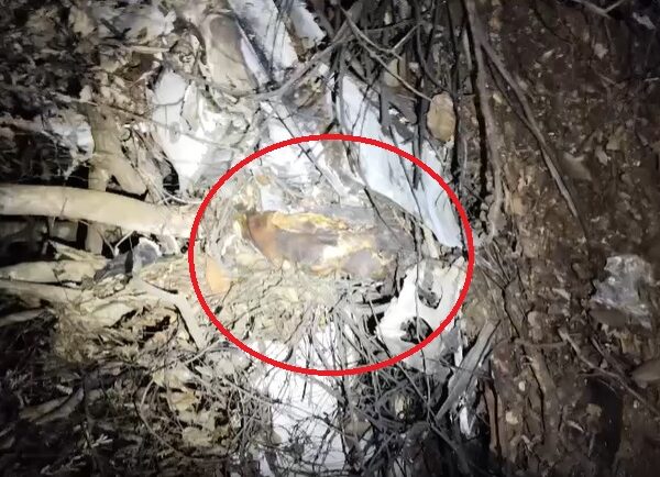 Vídeo mostra homem carbonizado após avião com carga de cocaína cair em MT; dois morreram