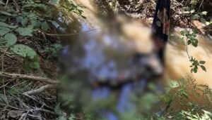 Dois corpos encontrados em menos de 24 horas deixam população em pânico em Rondonópolis; PC investiga