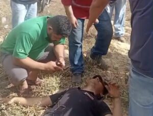 Motorista escapa da morte após tombar caminhão na MT-130 em Rondonópolis; vídeo
