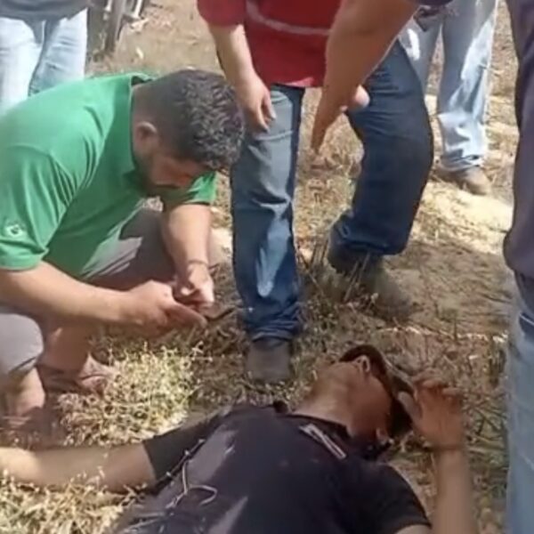 Motorista escapa da morte após tombar caminhão na MT-130 em Rondonópolis; vídeo