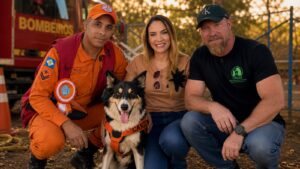 Cadela Stella é destaque nacional e recebe homenagem da vereadora Kalynka Meirelles