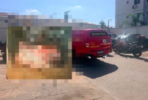 Feto é encontrado dentro de caixa de papelão em lixo de condomínio de MT; imagens fortes