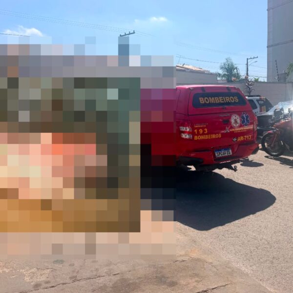 Feto é encontrado dentro de caixa de papelão em lixo de condomínio de MT; imagens fortes