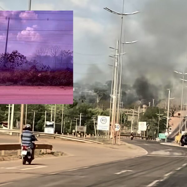 Vídeo mostra incêndio de grandes proporções atingindo região de cemitério em Rondonópolis