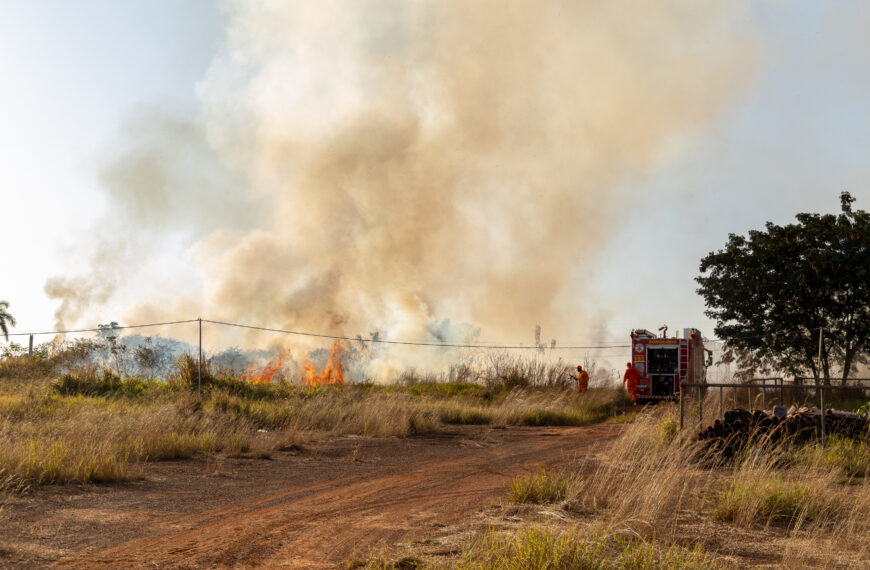 Prefeitura cria brigada mista com o Corpo de Bombeiros Militar para ampliar combate às queimadas