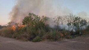 Rondonópolis: queimadas começam a preocupar e Município alerta sobre prejuízos à sociedade
