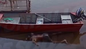 Vídeo mostra corpo em decomposição encontrado no Rio Vermelho em Rondonópolis