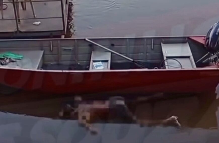 Vídeo mostra corpo em decomposição encontrado no Rio Vermelho em Rondonópolis