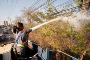 Prefeitura age rápido e evita que incêndio se alastre na região da ponte da Marechal Rondon; fotos