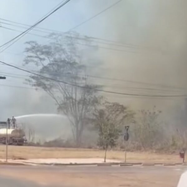 Vídeo mostra grande incêndio próximo ao Horto Florestal em Rondonópolis; Prefeitura age rápido