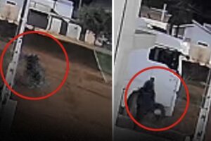 Vídeo mostra pistoleiros de capacete invadindo casa para executar jovem em MT
