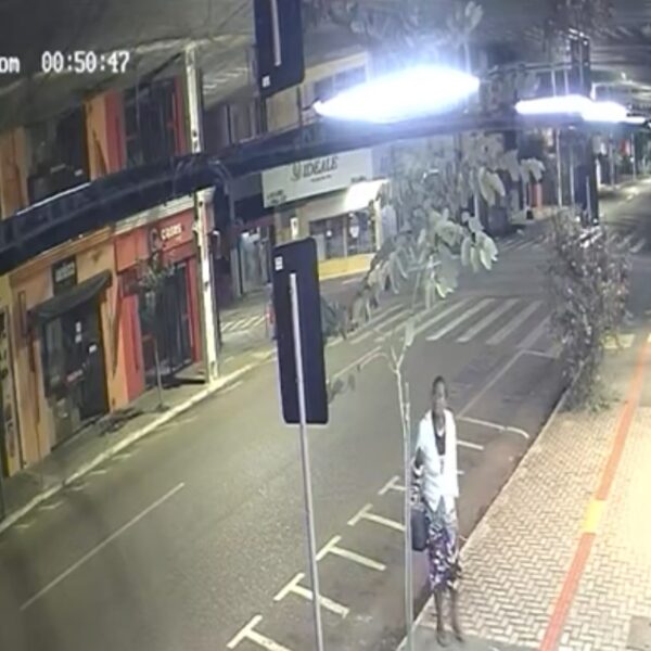 Prefeitura registra BO e polícia está na cola de vândala que destruiu árvores em Rondonópolis; assista