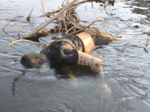 Homem é assassinado e jogado de ponte após executar namorada em MT; CV estaria por trás