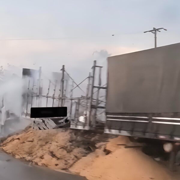 Carreta pega fogo, atinge vegetação na BR-364 e provoca fila gigante entre Juscimeira e Rondonópolis; vídeo
