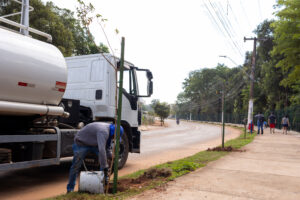 Participação da população é fundamental para que árvores plantadas se desenvolvam
