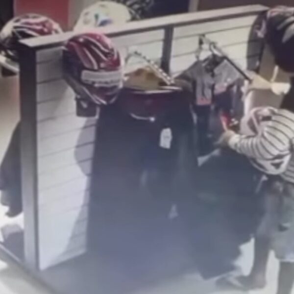 Dupla furta jaquetas em loja de motos e são presos ‘pagando de gatões’ em casa noturna em Rondonópolis; assista