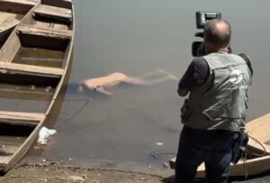 Mistério no rio: vídeo mostra momento em que mulher nua é encontrada morta boiando no rio Cuiabá