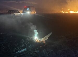 Avião cai e duas pessoas morrem às margens da MT-130; vídeo mostra cenário de destruição