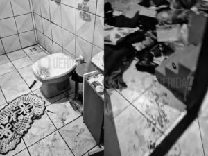 Amarrado e esfaqueado: homem leva 8 facadas durante roubo dentro de casa em MT; vídeo mostra banho de sangue