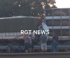 Motorista morre prensado após caminhão com porcos bater em carreta em Rondonópolis; vídeo