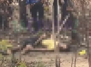 Cena bizarra: corpos são encontrados com sinais de tortura e orelhas decepadas em MT; assista