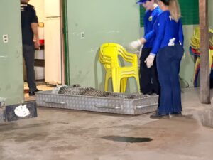 Pai encontra filho assassinado dentro de casa com sinais de extrema violência em MT; imagens