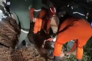 Três pessoas morrem após carro bater violentamente em carreta que saía de armazém em MT; vídeo mostra destruição