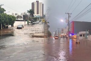 Temporal transforma ruas em rios, derruba árvores e gera estragos em cidades de MT; veja