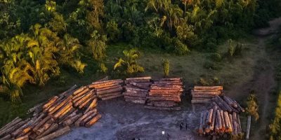 Moju Para 13 08 2019 O Governo do Pará vem intensificando o combate ao desmatamento ilegal. Nos últimos cinco dias, equipes da Secretaria de Estado de Meio Ambiente e Sustentabilidade (Semas), em parceria com o Batalhão de Polícia Ambiental (BPA), da Polícia Militar, percorreram 620 quilômetros em cinco municípios. A força-tarefa seguiu de Moju a Tailândia, no sudeste, e de Altamira a Senador José Porfírio, terminando em Anapu, no oeste.Houve apreensão de cerca de 600 toras de madeira, dois tratores, dois rifles e munições, e desmontado um acampamento de extração de madeira ilegal dentro da floresta. Um homem foi autuado por crime ambiental. A estimativa é que a quantidade de madeira apreendida chegue a 2 mil metros cúbicos, o suficiente para encher 100 caminhões.Ronan Frias Semas