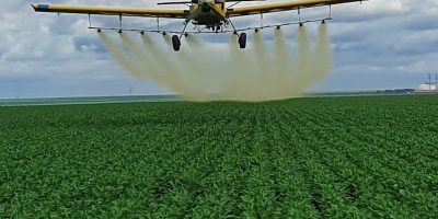 127638781-3159715954133370-2077576069442577674-n