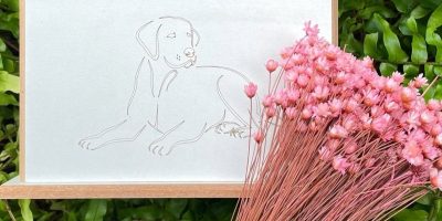 27adf139-f54b-4bdf-8ad5-18e7e3780dfa