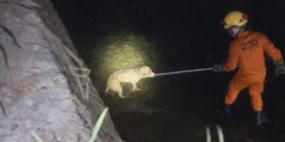 34c6190e-244a-4b7d-bc90-fe5483a7cf99