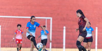 709df2d3-8f33-4395-9735-8ce64f539e19