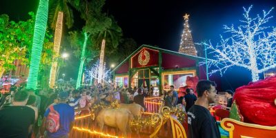 7553629f-01cc-451c-b48c-d203118c301f