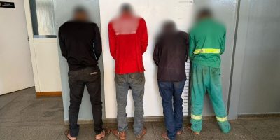 80dd4c77-42b6-446b-abef-0e3b4350ac25