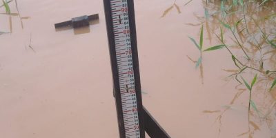 8429aa15-9286-4939-9831-e09ad5f7126d