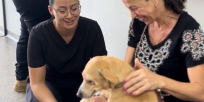 947c70ee-f658-4107-acc6-0eb4e73d1186