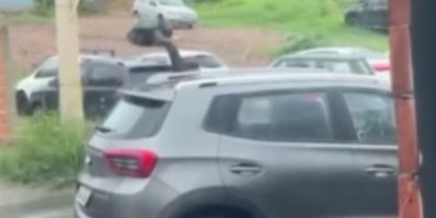 Captura de tela 2025-12-23 113756