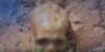 Captura de tela 2026-04-17 174252